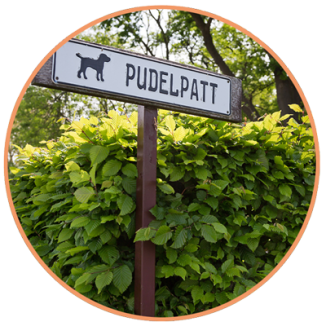 Pudelpatt – erste Adresse auf Tiemann&#8217;s Hof